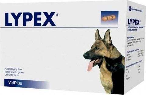 Lypex kapszula 60 db