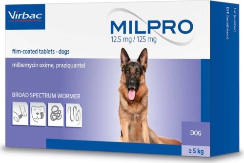 Milpro tabletta kutya  5 kg felett 4 db