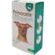 Prinocate spot-on kutya 4 kg 3 db