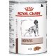 Royal Canin Hepatic kutyáknak 420 g