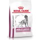 Royal Canin Mobility Support kutyáknak 12 kg