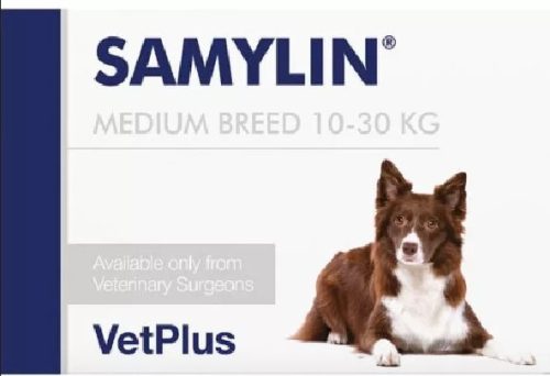 Samylin Medium Breed tabletta 30 db