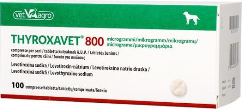 Thyroxavet 800 µg tabletta 100 db