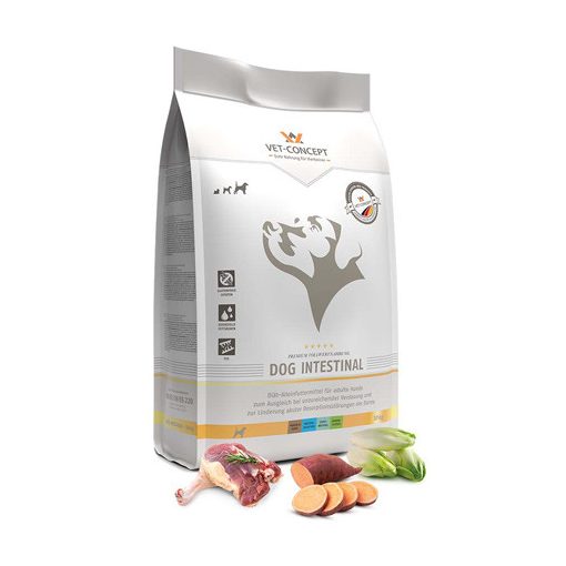 Vet-Concept Intestinal 600g