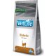 Vet Life Cat Diabetic 2 kg 