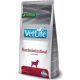 Vet Life Dog Gastrointestinal 2 kg 