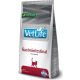 Vet Life Cat Gastrointestinal 2 kg 