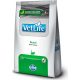 Vet Life Cat Renal 2 kg