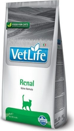 Vet Life Cat Renal 400 g 
